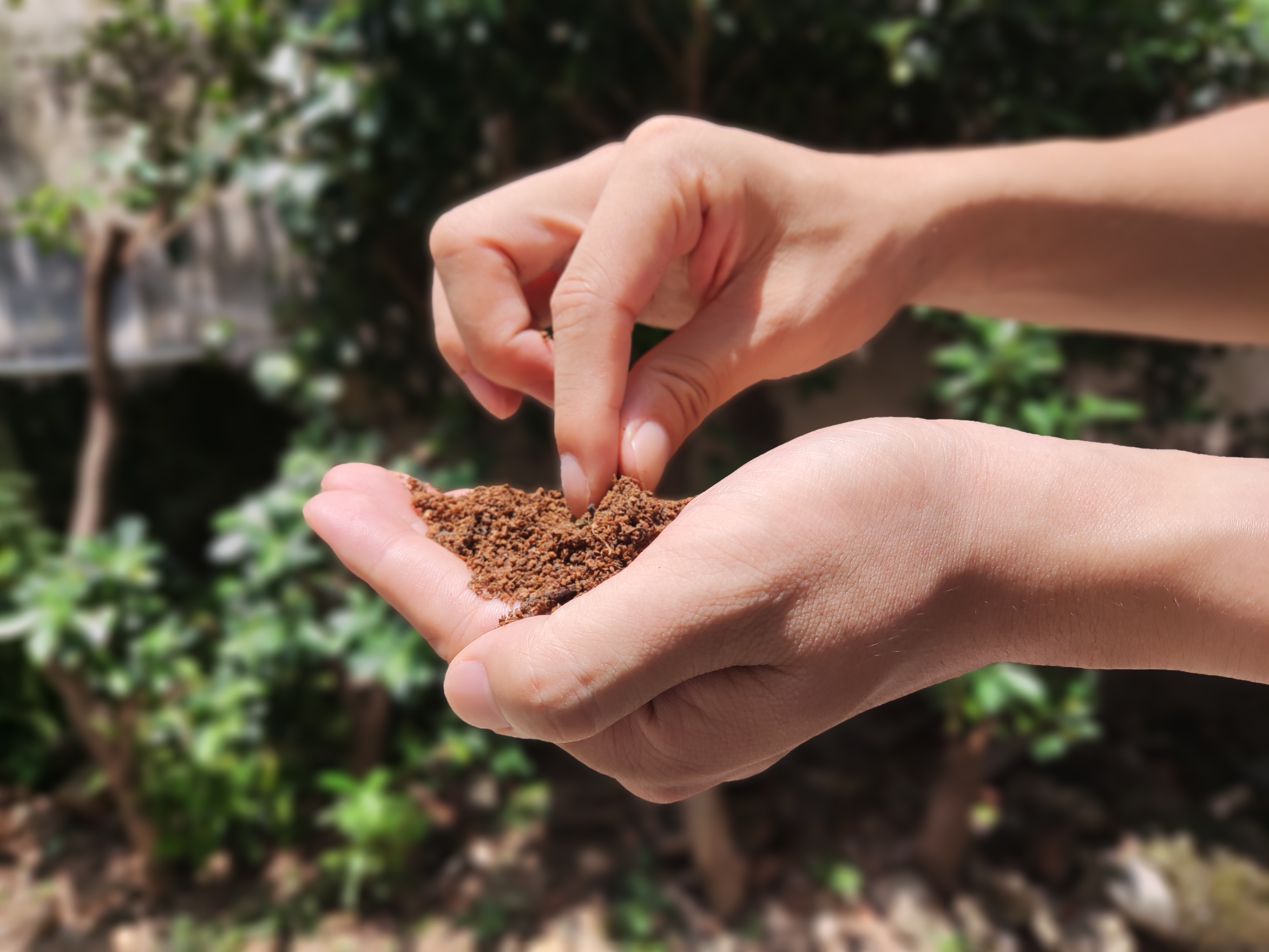 How to Use Compost Correctly